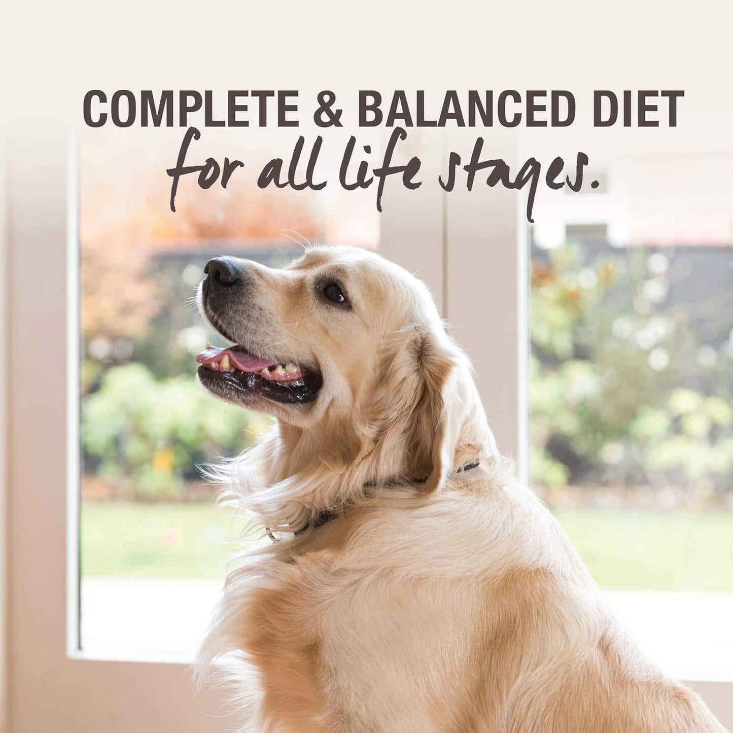 Grain-Free Freeze Dried Dog Food, Hoki & Beef 500G