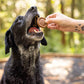 Aussie Mini Burgers - 100% Aussie Chicken & Superfood Ingredients - Natural, Grain-Free Dog Treats - Snacks, Training or Rewards for Dogs - 110G