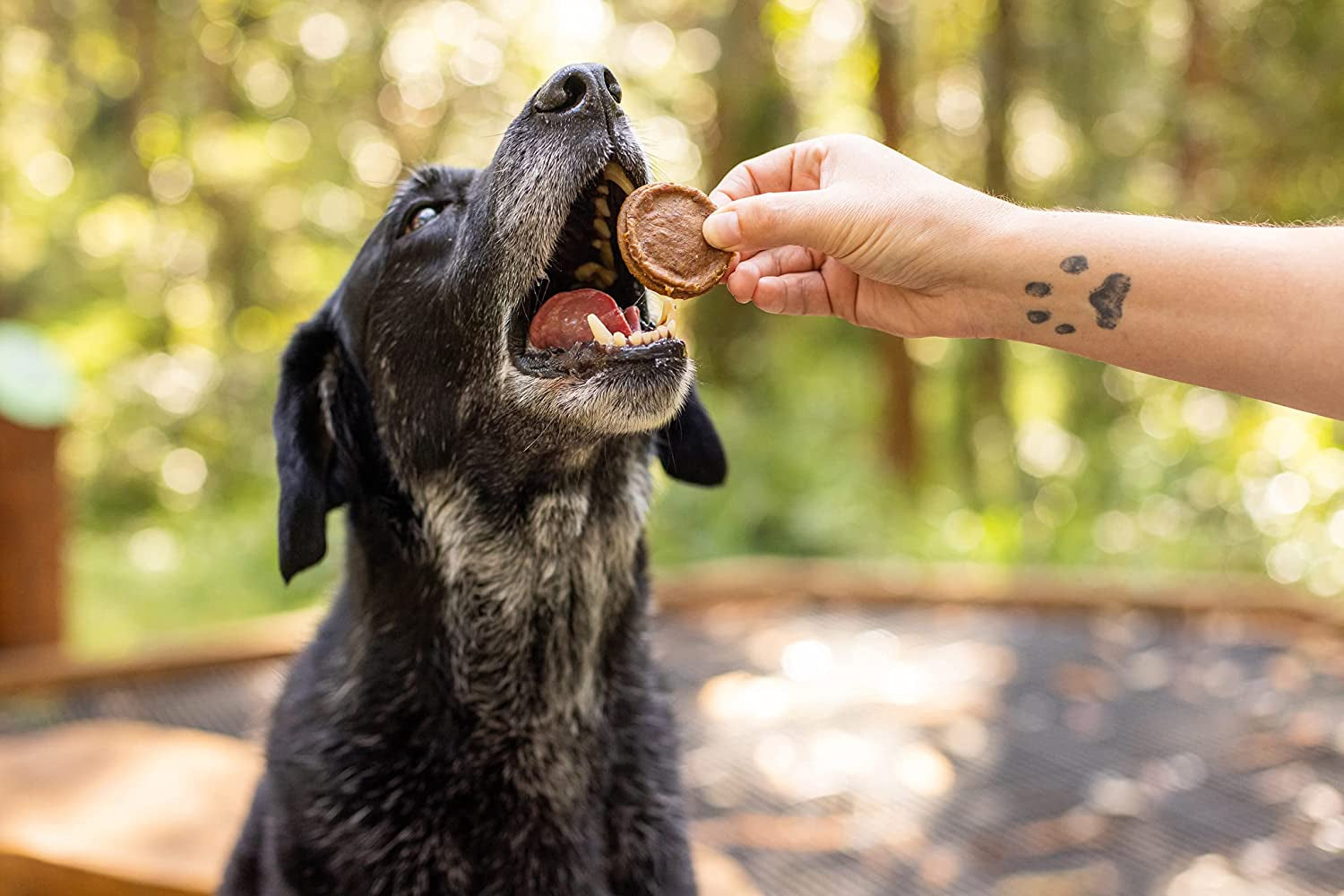 Aussie Mini Burgers - 100% Aussie Chicken & Superfood Ingredients - Natural, Grain-Free Dog Treats - Snacks, Training or Rewards for Dogs - 110G
