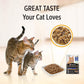 PRO PLAN Adult 7+ Wet Cat Food Chicken in Gravy 12X85G