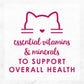 FANCY FEAST Delights with Cheddar Adult Wet Cat Food Grilled Chicken & Cheddar Cheese Feast in Gravy 24X85G