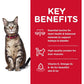 Adult, Chicken Recipe, Dry Cat Food, 4Kg Bag