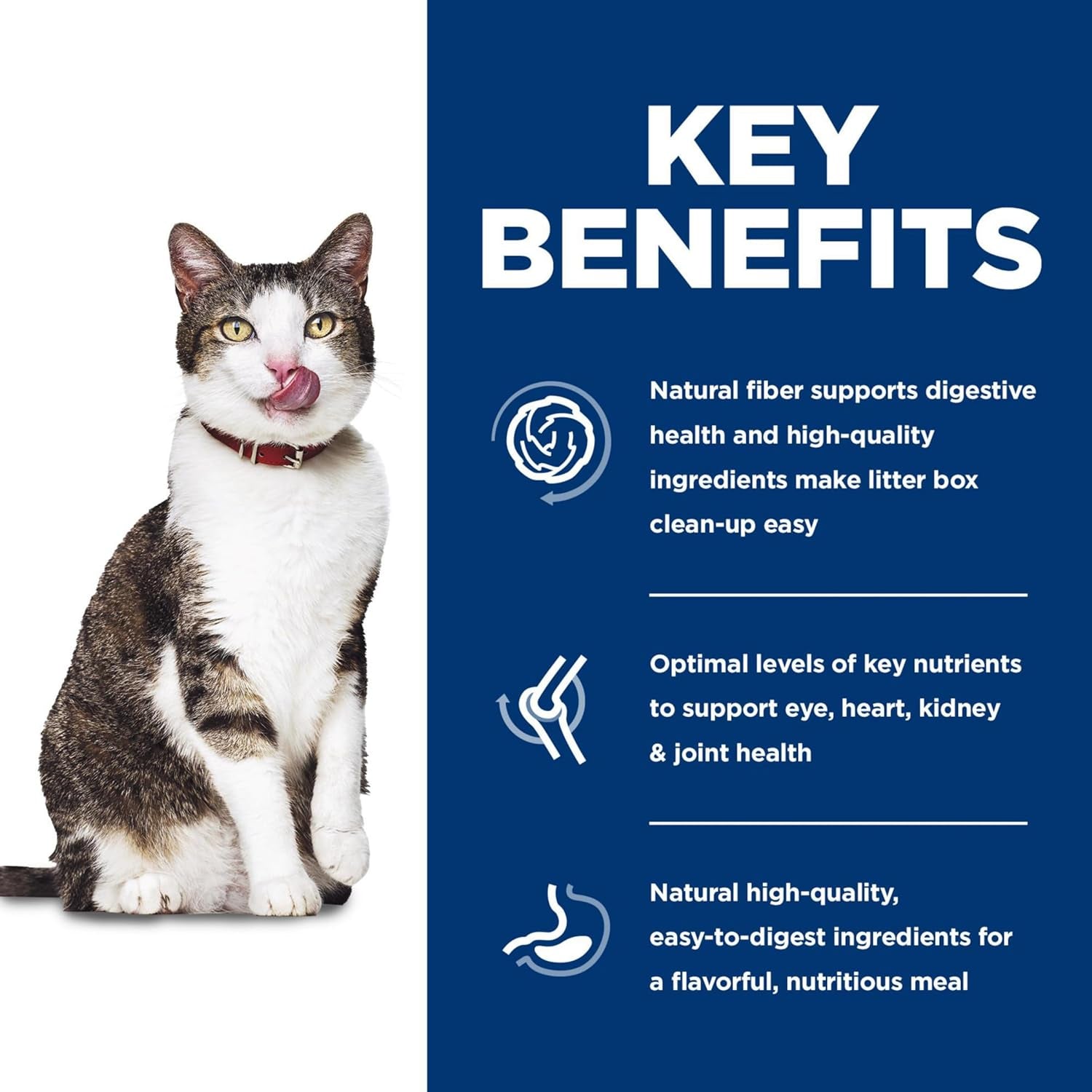 Science Diet Senior Adult 11+ Indoor, Chicken Recipe, Dry Cat Food for Older Cats, 1.58Kg Bag