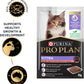 PRO PLAN Kitten Wet Cat Food Salmon in Jelly 12X85G
