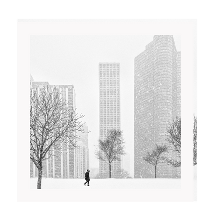 Urban print with black and white city in winter New York City Central Park in square orientation. 