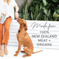 Grain-Free Freeze Dried Dog Treats (Beef Bites)
