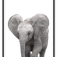 Kids nursery print with a baby elephant close-up in front of a white background. 