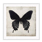 Gothic Butterfly