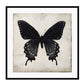 Gothic Butterfly