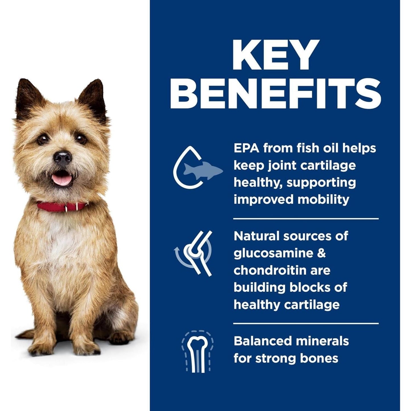Healthy Mobility Adult Small Bites, Chicken Meal, Brown Rice and Barley Recipe, Dry Dog Food for Joint Health, 1.81Kg Bag