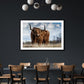 Highland Cow
