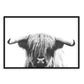 Highlander