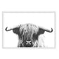 Highlander