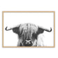Highlander