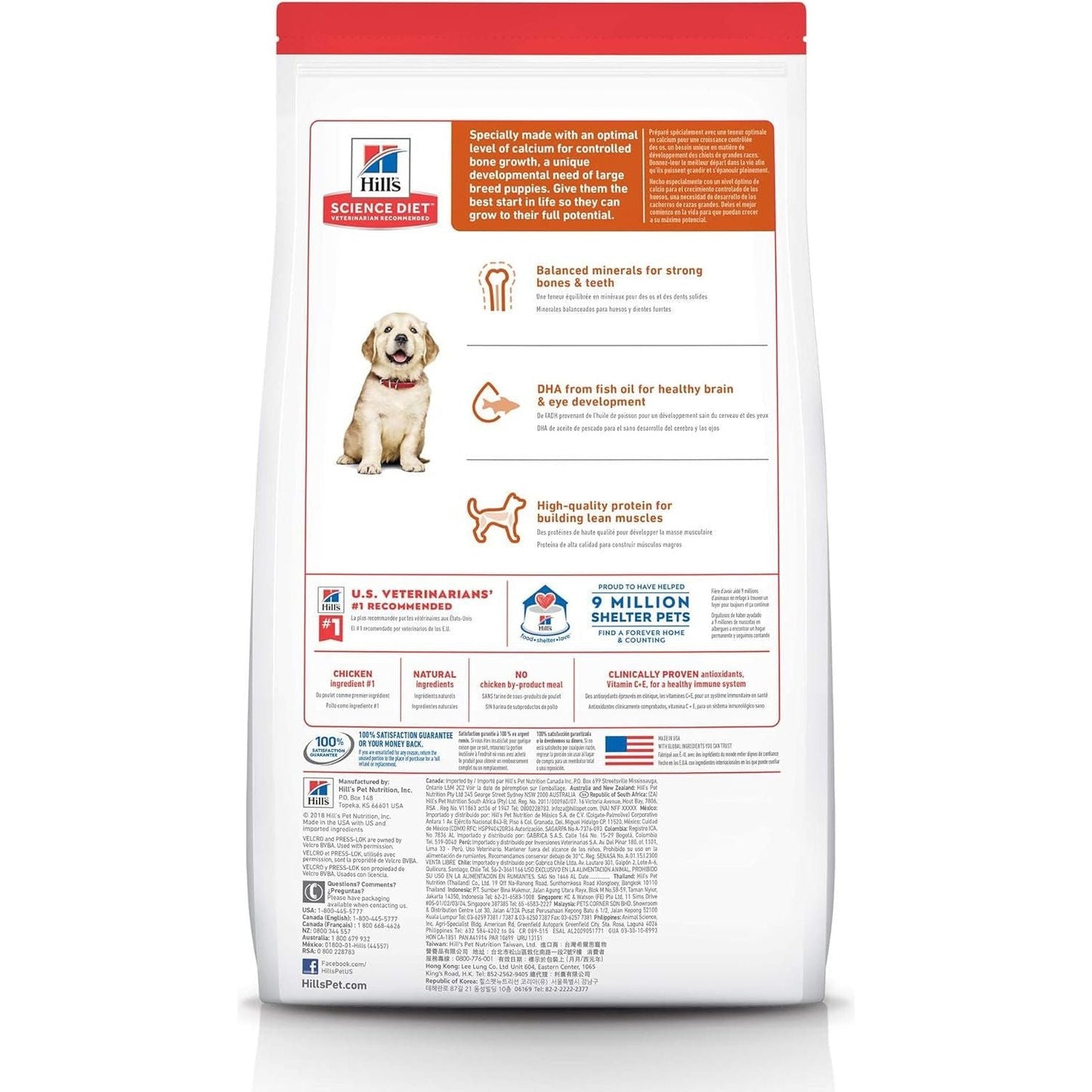 Large Breed Puppy Chicken Dry Dog Food 12Kg