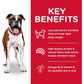Light Adult, Chicken Meal & Barley Recipe, Low Calorie Dry Dog Food for Healthy Weight & Management, 12Kg Bag