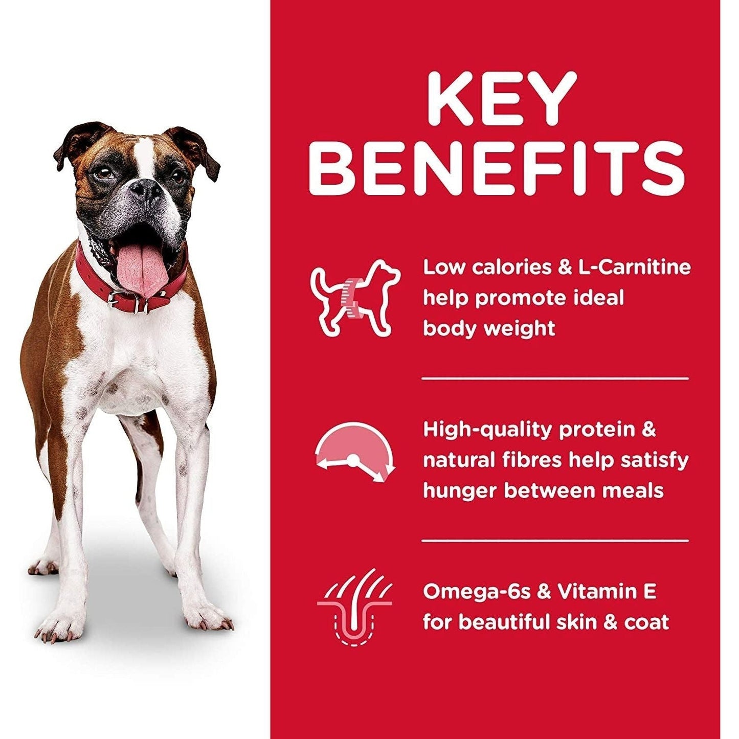 Light Adult, Chicken Meal & Barley Recipe, Low Calorie Dry Dog Food for Healthy Weight & Management, 12Kg Bag