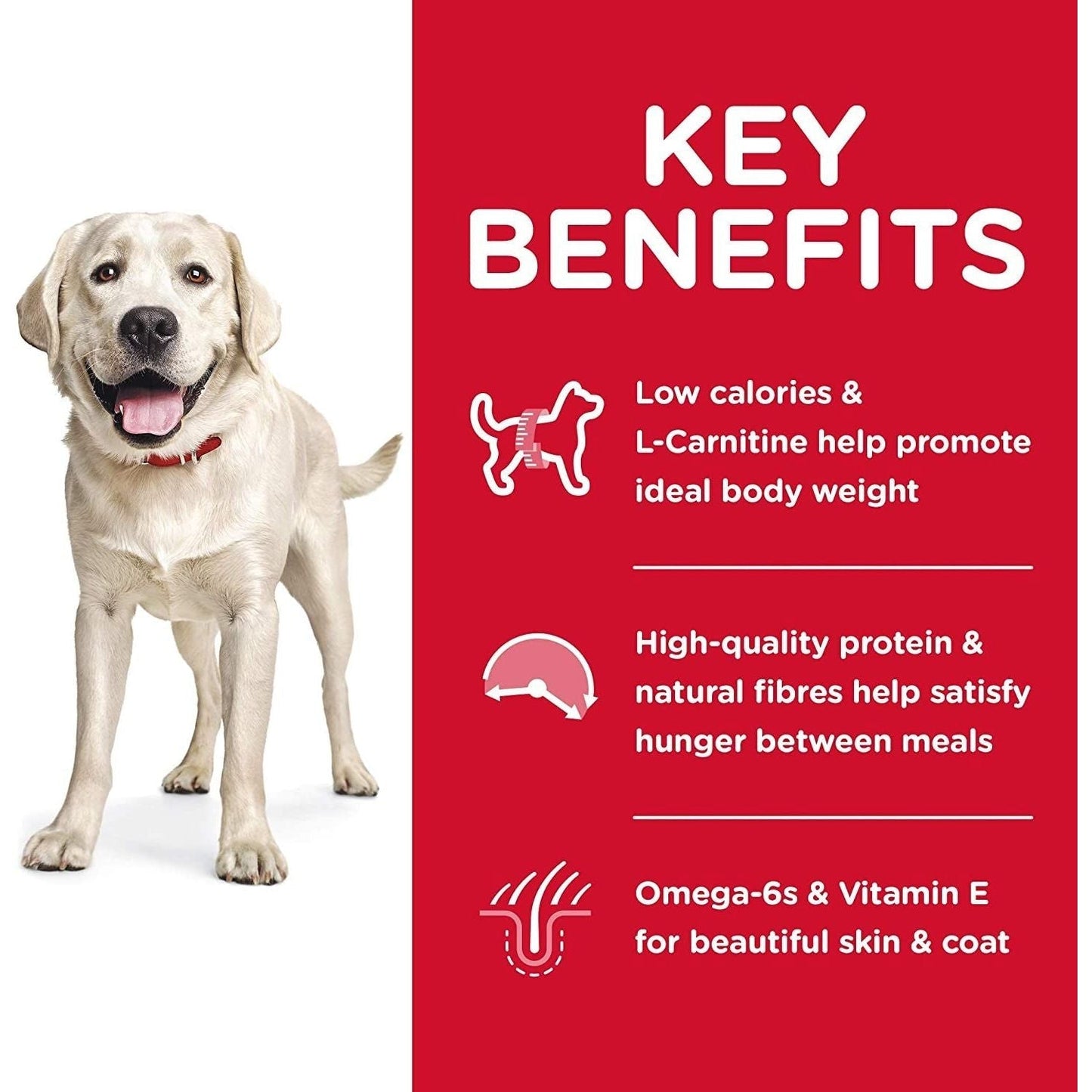 Light Adult Large Breed,Chicken Meal and Barley Recipe, Low Calorie Dry Dog Food for Healthy Weight and Management, 12Kg Bag
