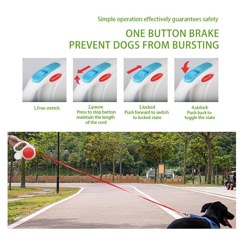Light blue 5M Retractable Dog Leash - With Small Box, Suitable For Small And Medium Dogs