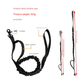 M Green Hands-Free Dog Leash with Adjustable Waist Belt - Shock Absorbing Bungee Lead