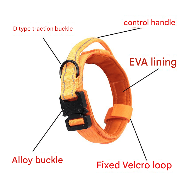 M Green Hands-Free Dog Leash with Adjustable Waist Belt - Shock Absorbing Bungee Lead