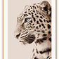 Tigre