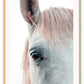Horse print photography animal white background and neutral boho style 