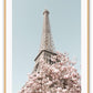 Pink Paris