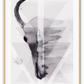 Scandi geometric faded watercolour print with skull and ocean in muted grey colours