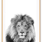 A black and white natural wall art of a lion sketch.