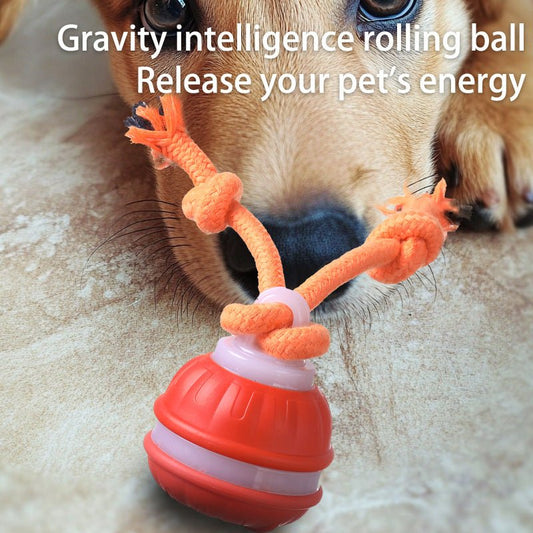 Orange 2-pcs Interactive Dog Toy - Self-Moving Ball with Rope, Boredom Buster (With Bird Calls)