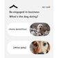 Orange 2-pcs Interactive Dog Toy - Self-Moving Ball with Rope, Boredom Buster (With Bird Calls)