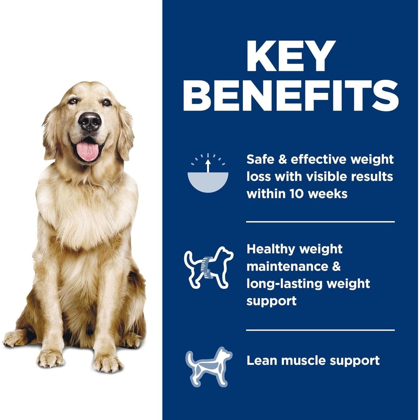 Perfect Weight Adult, Chicken Recipe, Dry Dog Food for Healthy Weight and Management, 1.81Kg Bag