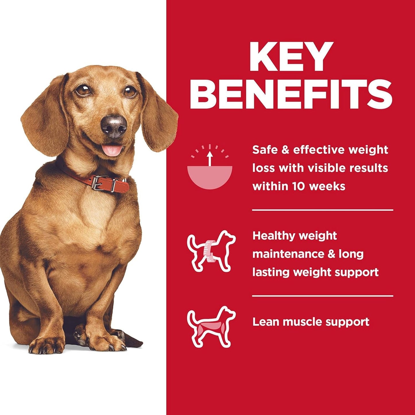 Perfect Weight Adult Small & Mini Breed Chicken Recipe Dry Dog Food 5.67 Kg