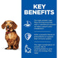 Perfect Weight Small & Mini with Turkey Canned Dog Food 12X200G