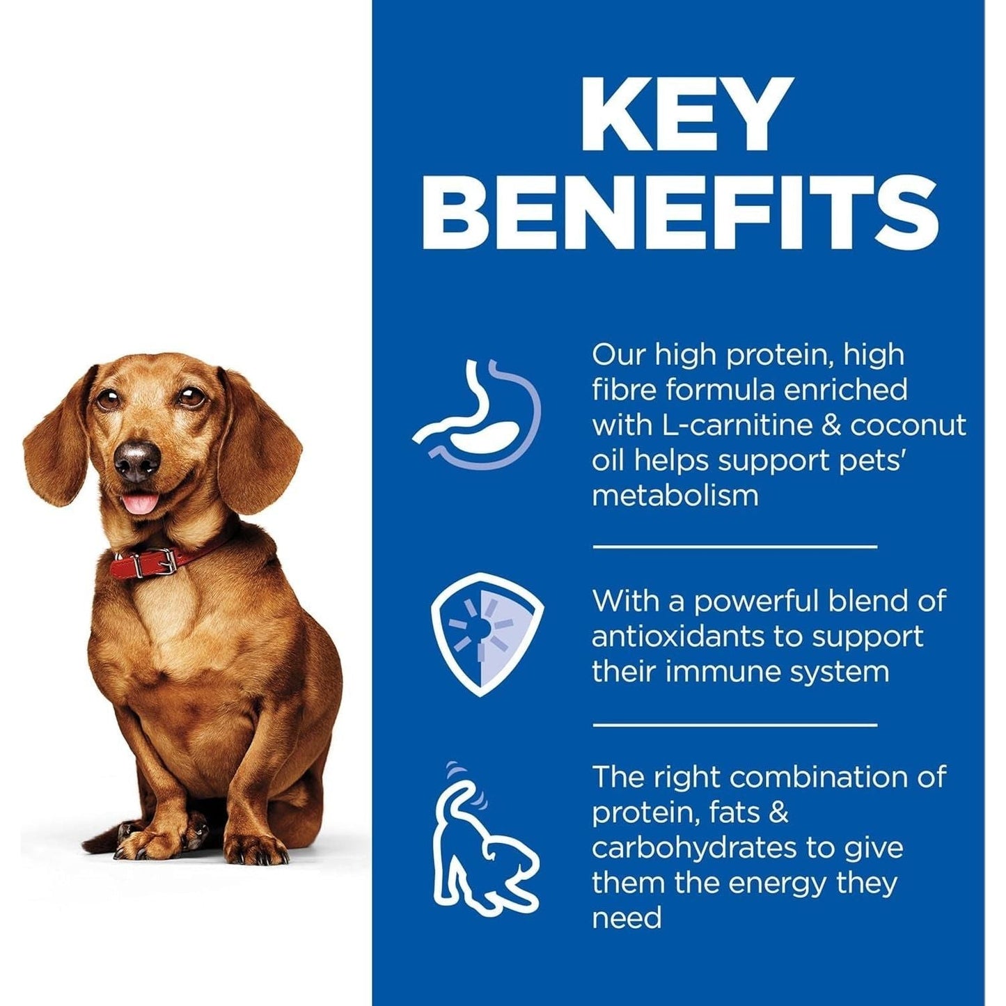 Perfect Weight Small & Mini with Turkey Canned Dog Food 12X200G