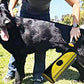 Pet Dog Cat Hair Fur Deshedding Shedding Trimmer Grooming Roll Comb Brush yellow