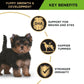 PRO PLAN Puppy Dry Dog Food Small and Toy Breeds Chicken 2.5Kg