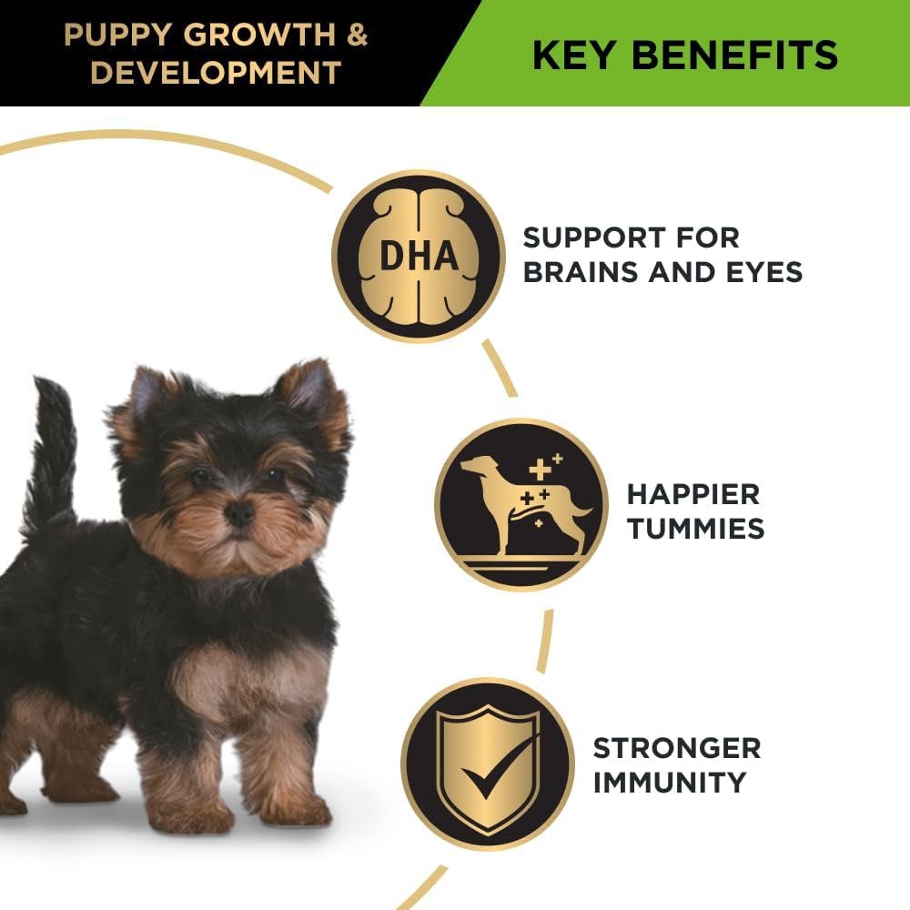 PRO PLAN Puppy Dry Dog Food Small and Toy Breeds Chicken 2.5Kg