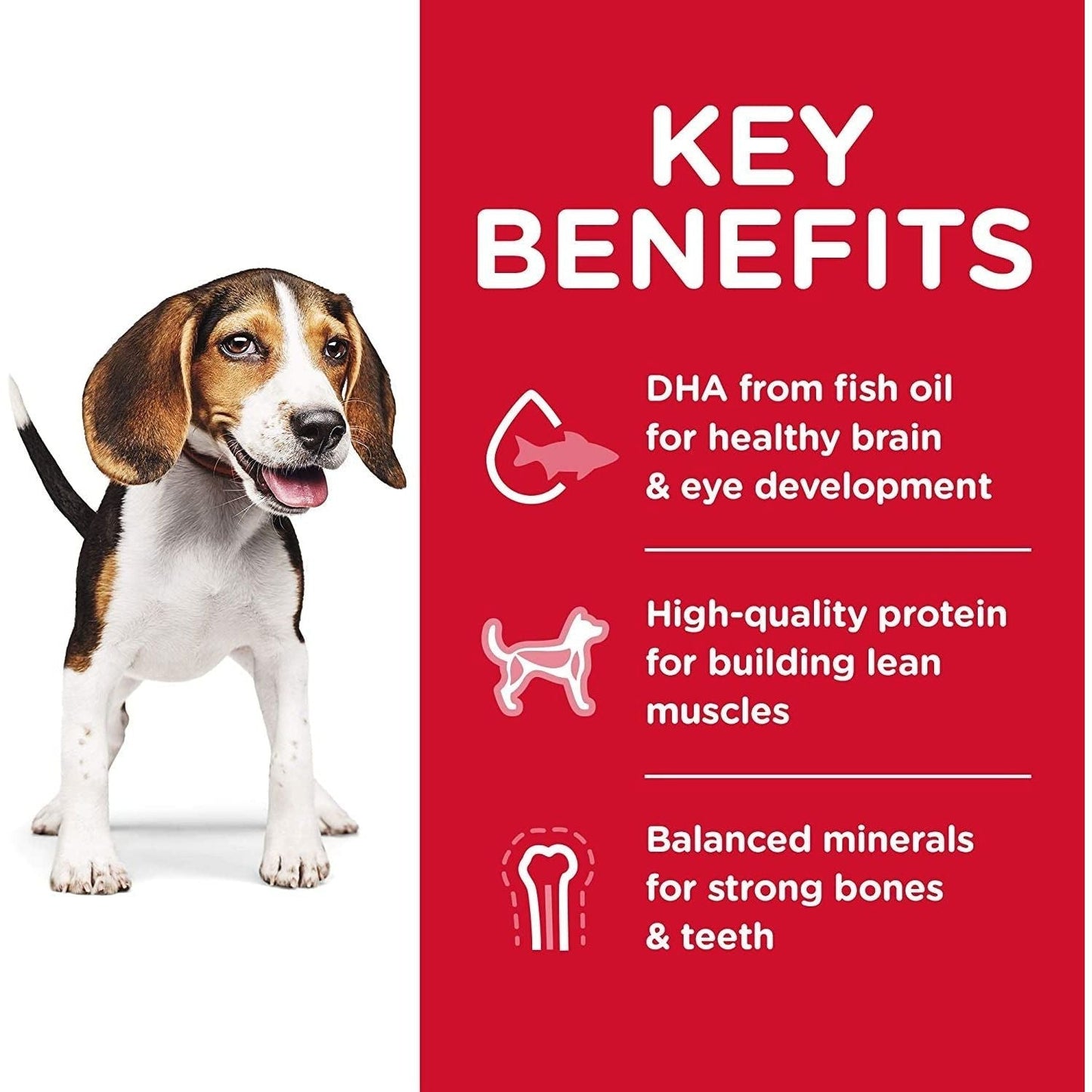 Puppy, Chicken Meal & Barley Recipe, Dry Dog Food for Medium Breed Dogs, 3Kg Bag