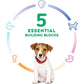 Puppy Small Bites, Chicken Meal & Barley Recipe, Dry Dog Food with Small Kibble, 2Kg Bag