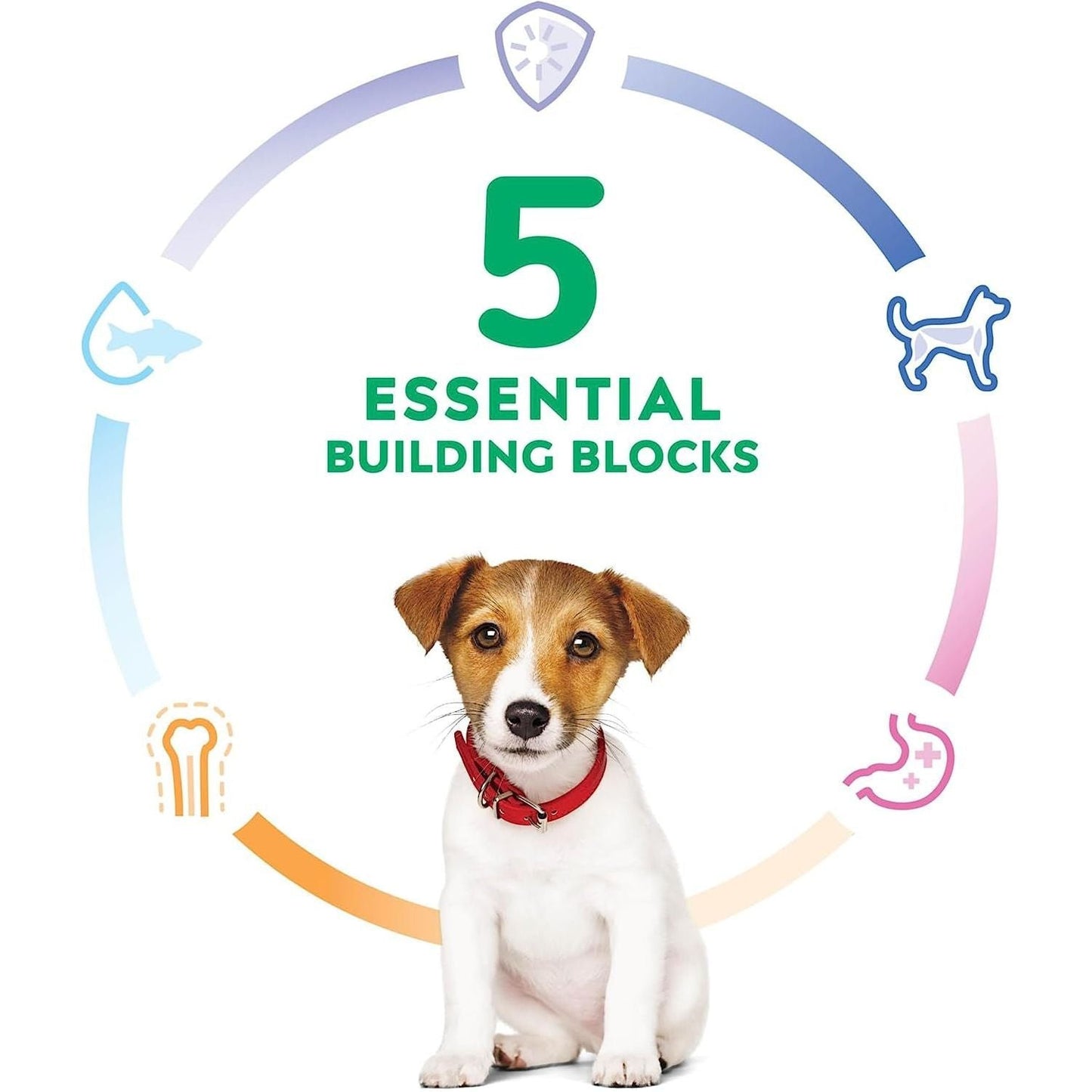 Puppy Small Bites, Chicken Meal & Barley Recipe, Dry Dog Food with Small Kibble, 2Kg Bag
