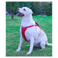 Reflective Dog Harness with Leash, No-Pull Vest Harness for Dogs, Adjustable Dog Vest with Handle, Walking Training Pet Harness L size