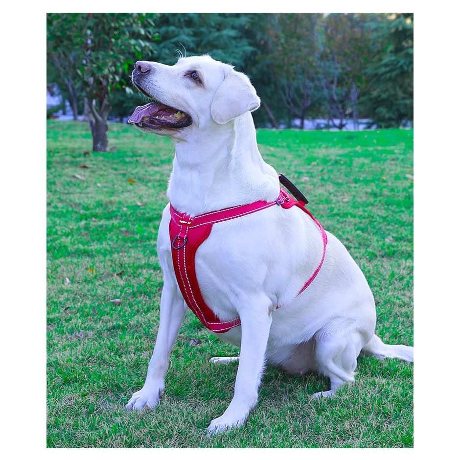 Reflective Dog Harness with Leash, No-Pull Vest Harness for Dogs, Adjustable Dog Vest with Handle, Walking Training Pet Harness L size