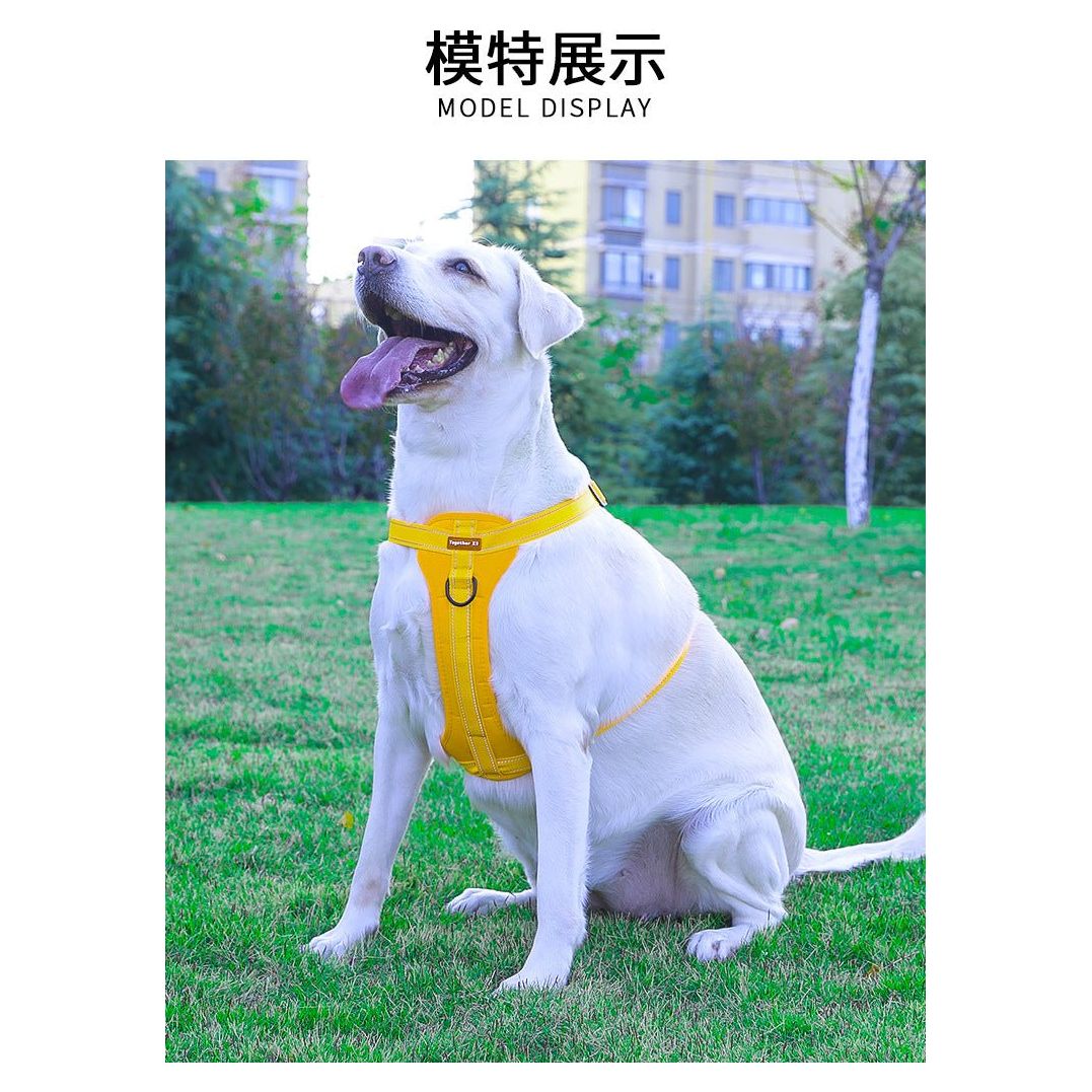 Reflective Dog Harness with Leash, No-Pull Vest Harness for Dogs, Adjustable Dog Vest with Handle, Walking Training Pet Harness xs size