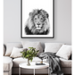 Lion Sketch