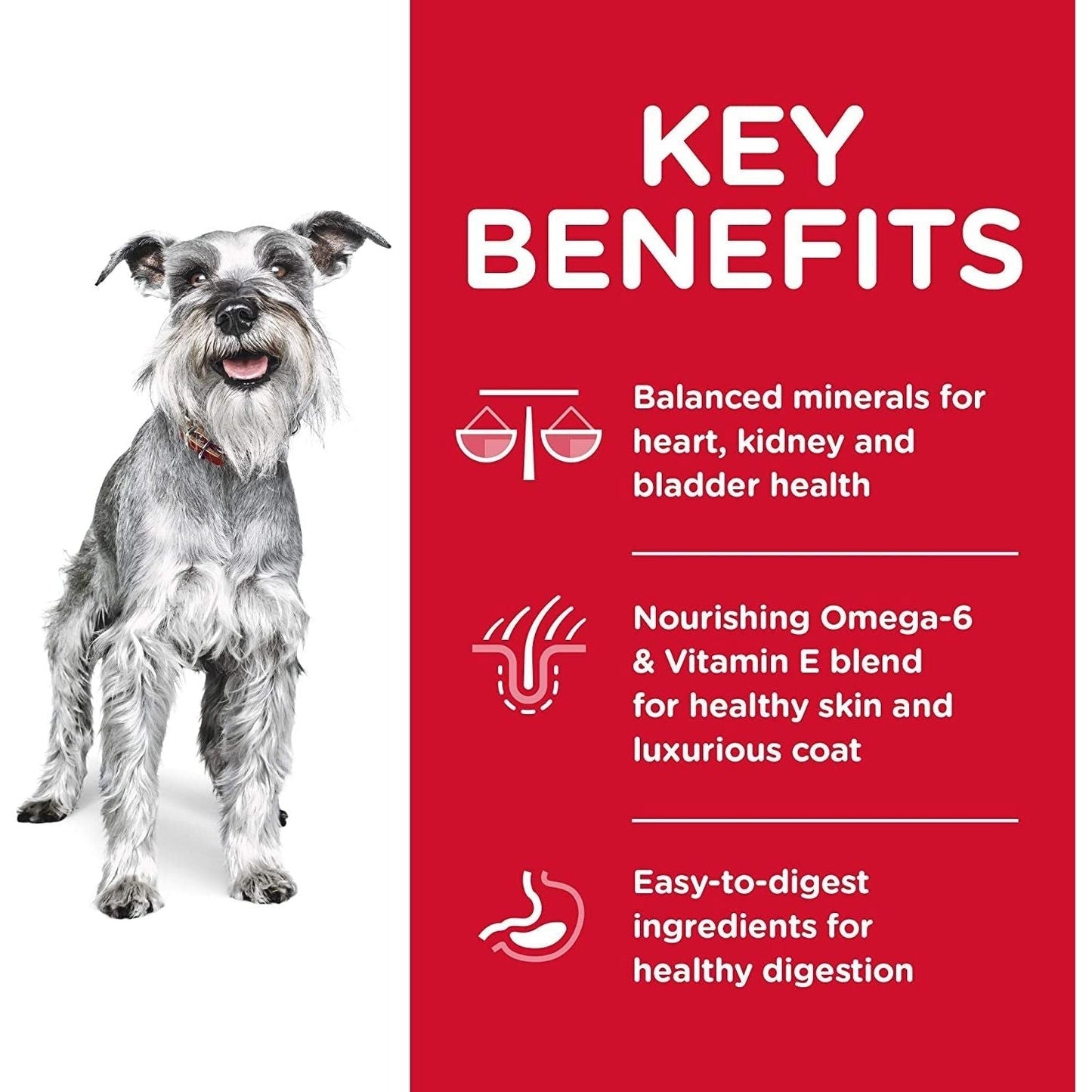 Senior Adult 7+ Small Paws, Chicken Meal, Barley and Brown Rice Recipe, Dry Dog Food for Older Small & Toy Breed Dogs, 1.5Kg Bag