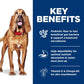 Sensitive Stomach and Skin Adult Large Breed, Chicken Recipe, Dry Dog Food, 13.6Kg Bag