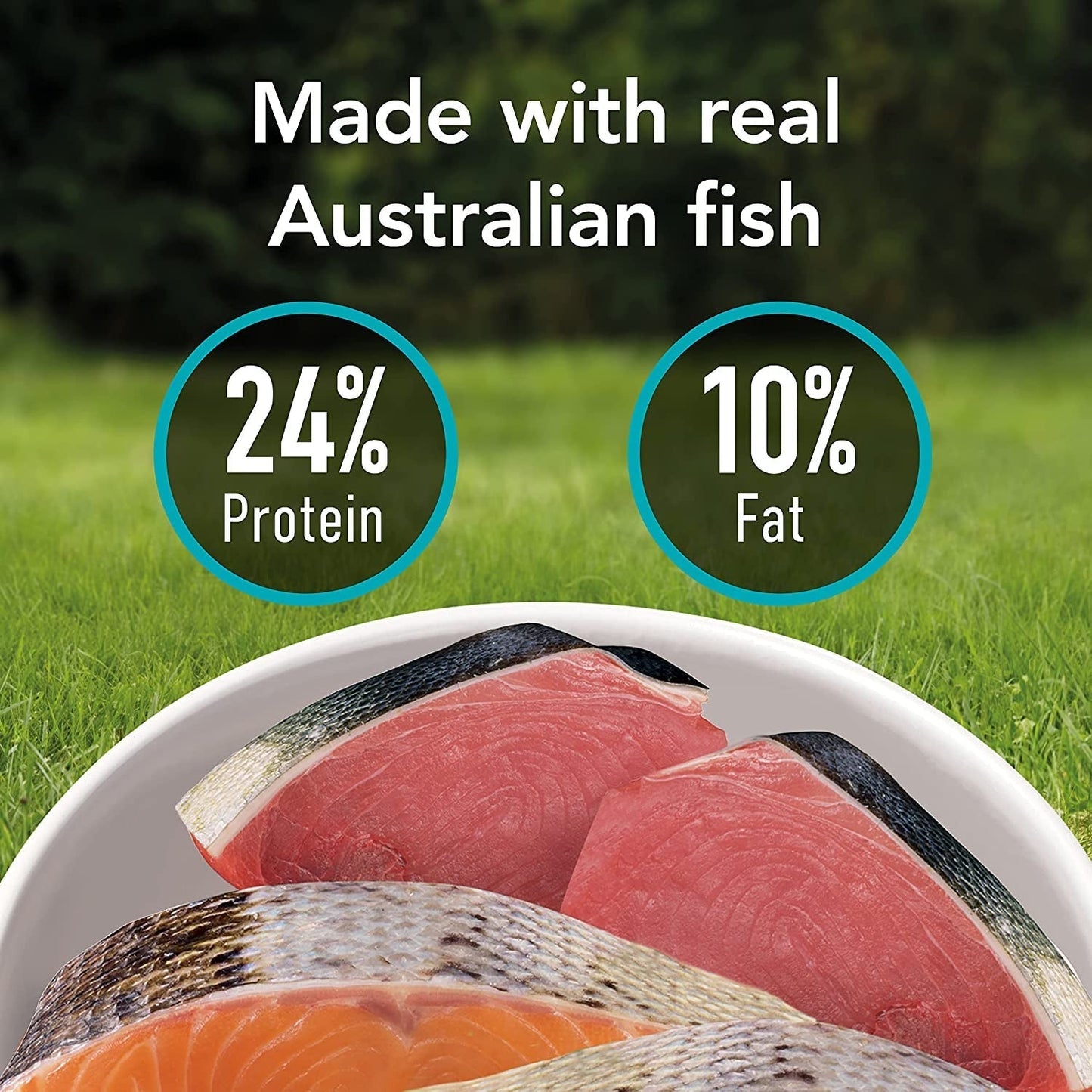 SMARTBLEND Adult Dry Dog Food Fish 15Kg