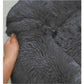 Soft Dog Bed Round Washable Plush Pet Kennel Cat Bed Mat Sofa Medium 60cm